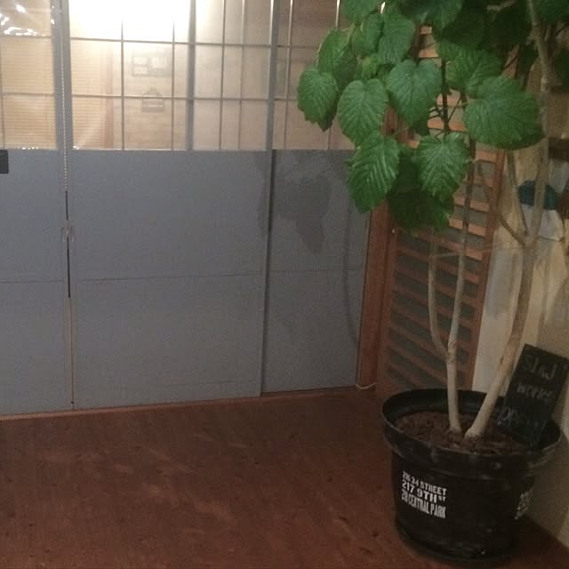 jisoさんの実例写真