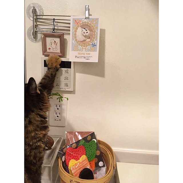 mikomaruさんの実例写真