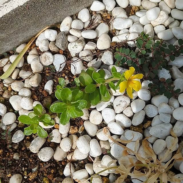 minnieさんの部屋