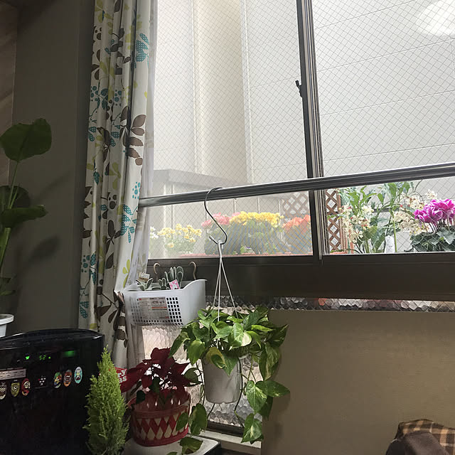 takaさんの実例写真