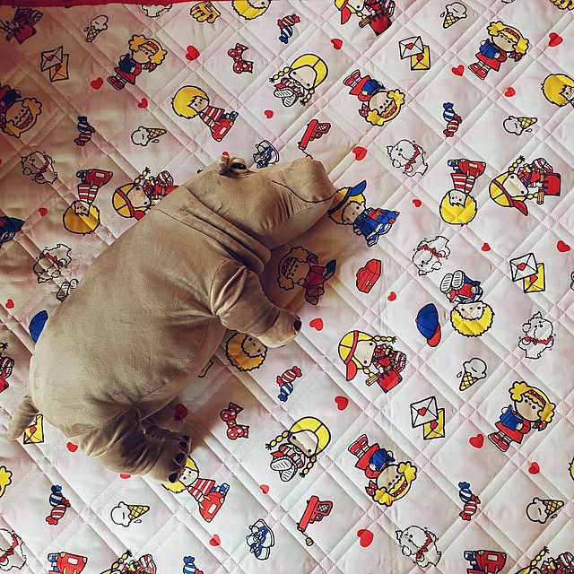 kumutanさんの部屋