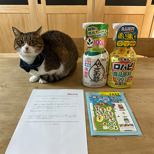 haruさんの実例写真