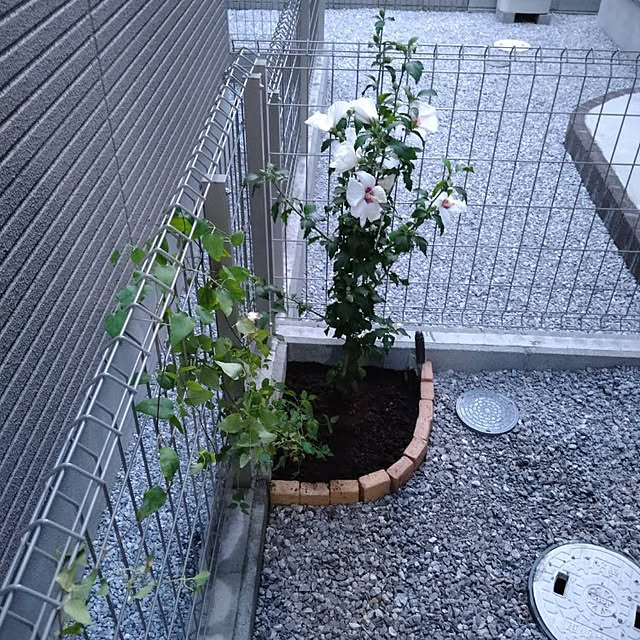 玄関/入り口のインテリア実例 - 2021-09-03 23:43:26