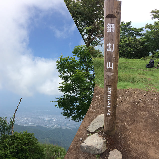 実例写真
