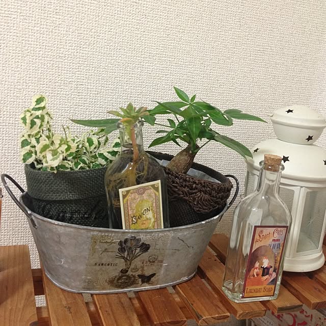 実例写真