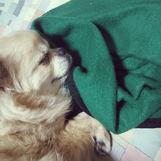 kiraさんの実例写真