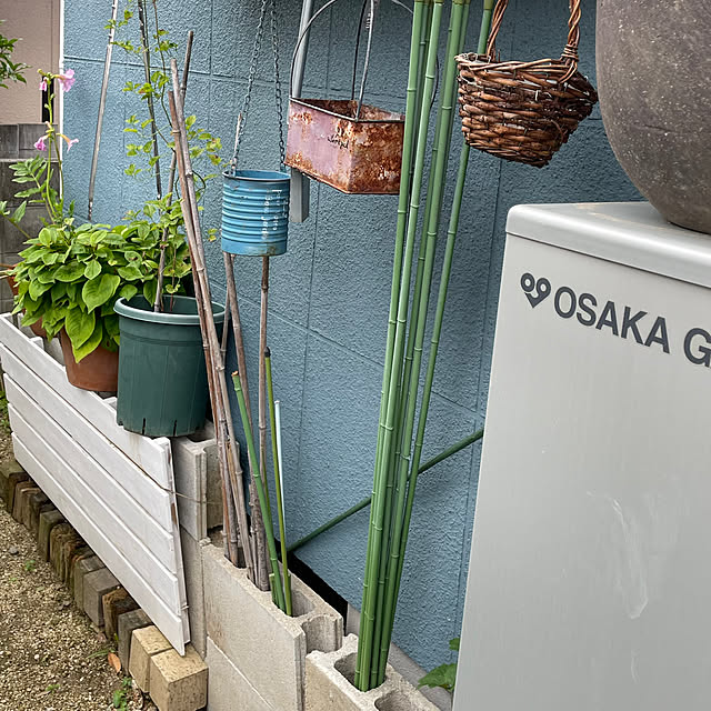 nobikoさんの部屋