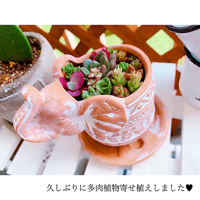 chaluさんの実例写真