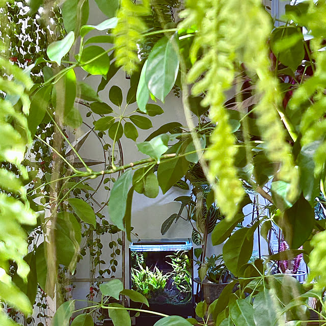 DAYONEさんの実例写真