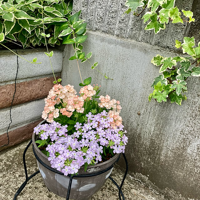 CoCo0617さんの実例写真