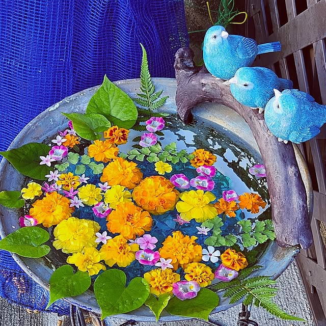 mocomocoさんの実例写真