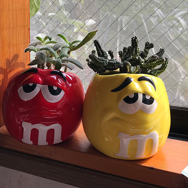 机/多肉植物のインテリア実例 - 2019-01-30 21:30:28