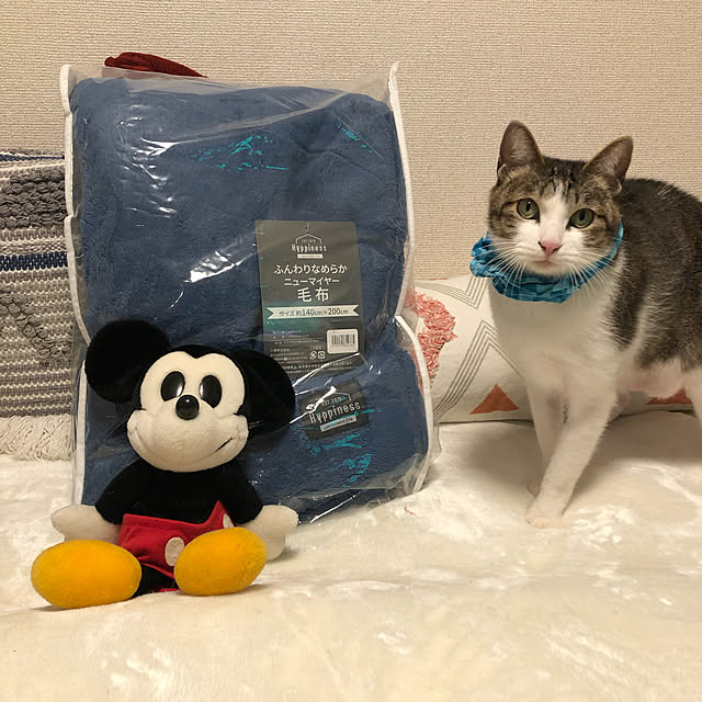 mikenekoさんの実例写真