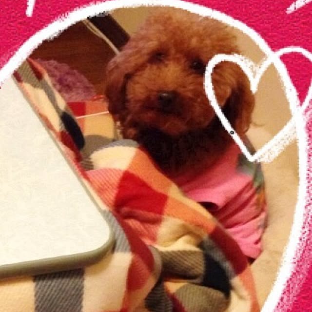 HIRO4さんの実例写真