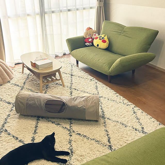 junさんの実例写真