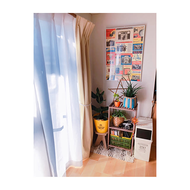 観葉植物/salut!/棚のインテリア実例 - 2019-04-27 18:52:53