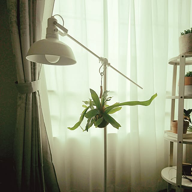 g1367916さんの実例写真