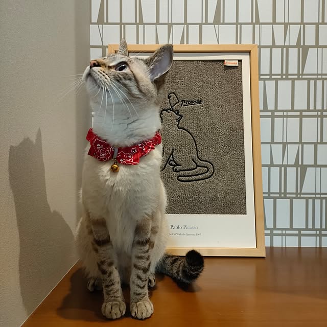 Atelier_tamakiさんの部屋