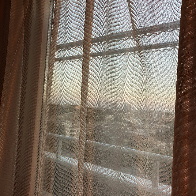 Pippuさんの実例写真