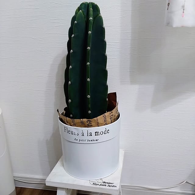 Mmamaさんの実例写真