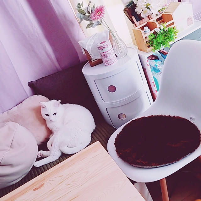keikomokonさんの実例写真