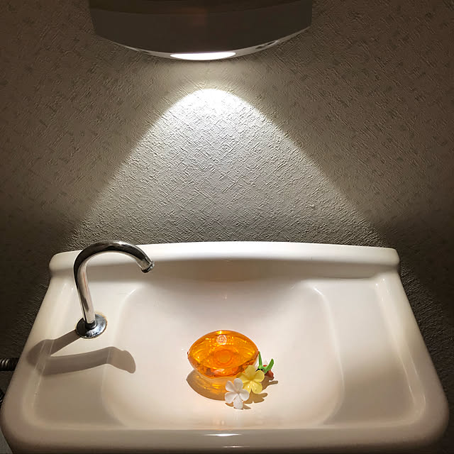 Sachikoさんの実例写真