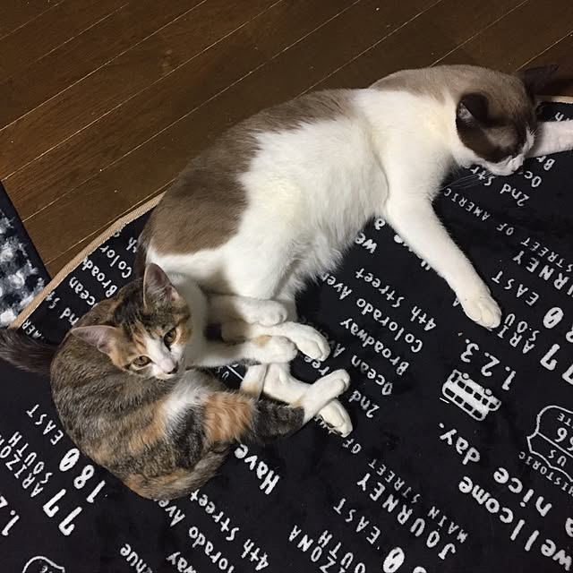 vivienne.coco-keiさんの実例写真