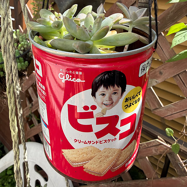 mayugehaさんの実例写真