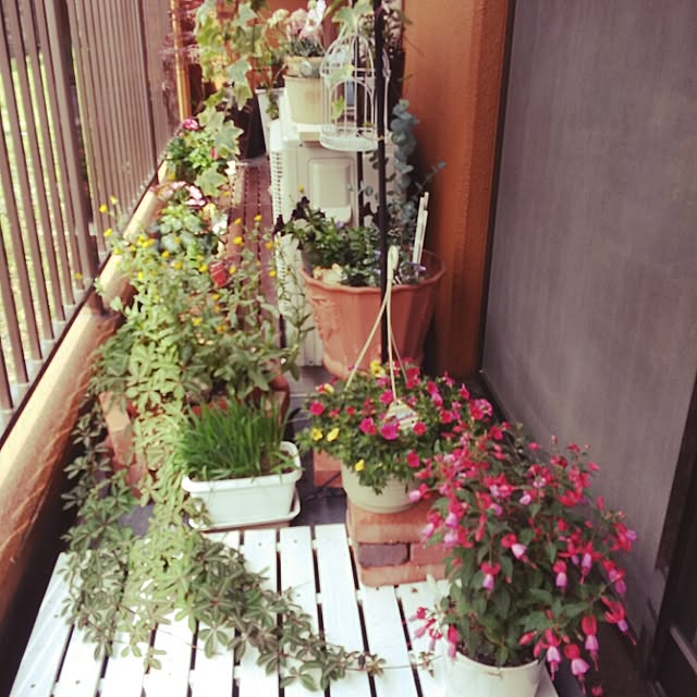部屋全体/ベランダのインテリア実例 - 2015-05-16 08:44:27