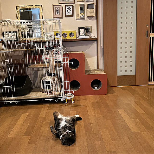 adrenalineさんの実例写真