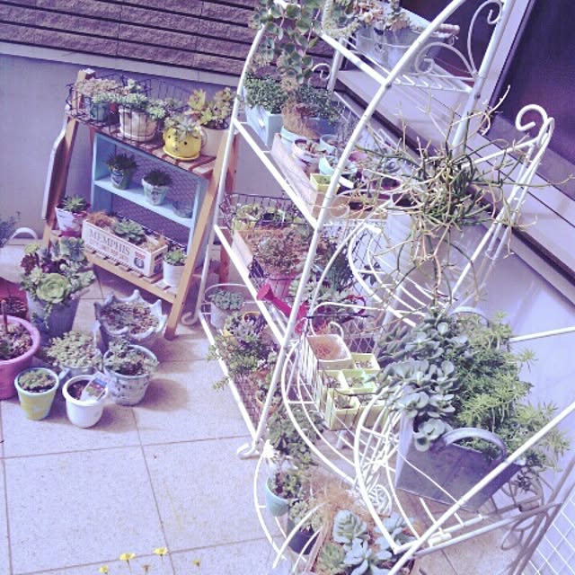akr29さんの実例写真