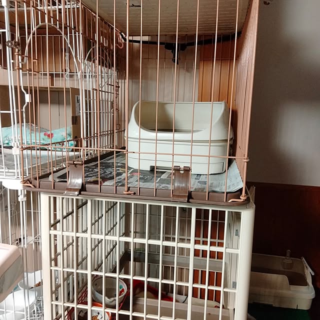 makaronさんの部屋