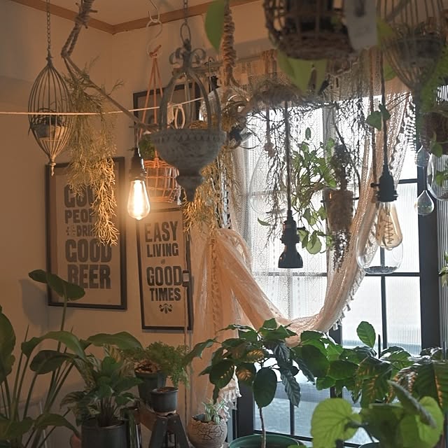 CYNOSさんの部屋