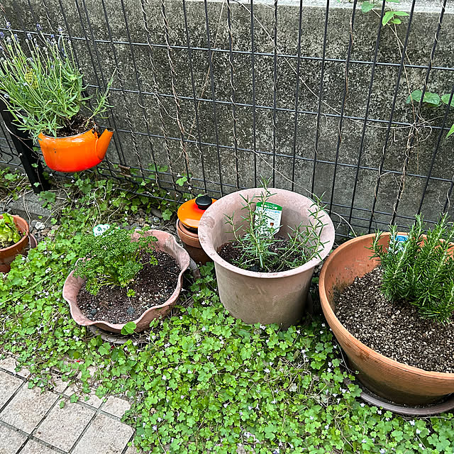 nonoさんの部屋