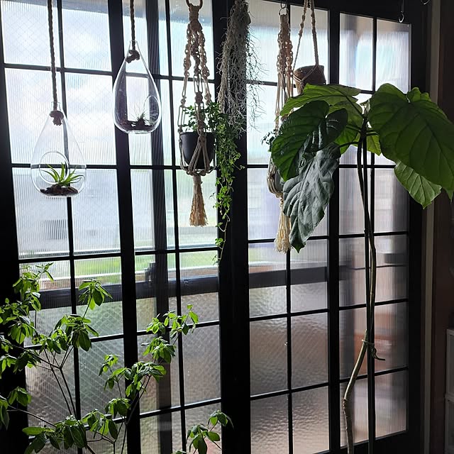 CYNOSさんの部屋