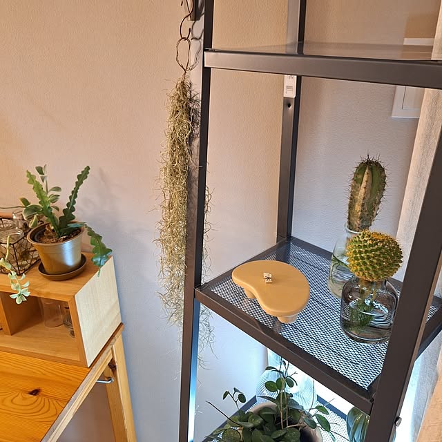 otokiさんの部屋