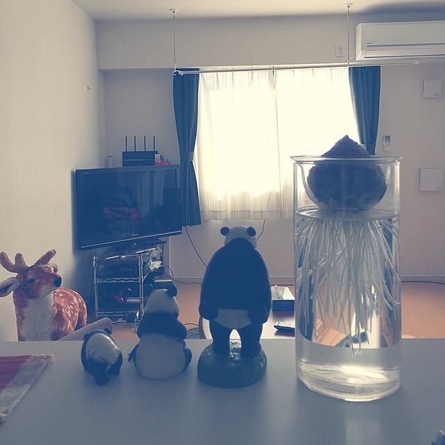 gumiminさんの実例写真