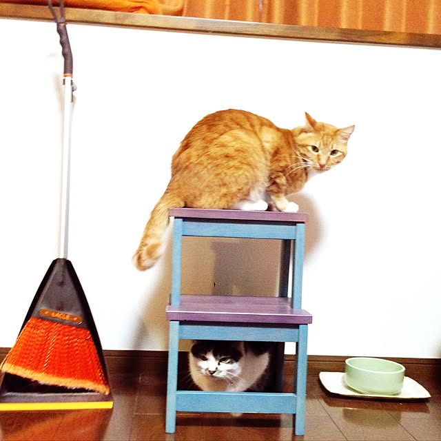 motimotinonikuさんの実例写真