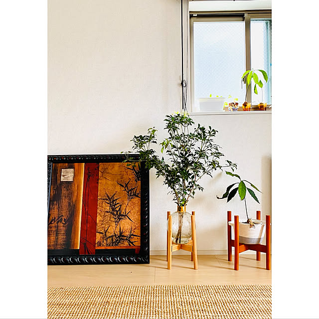 観葉植物/ナチュラル/一人暮らし/カフェ風/部屋全体のインテリア実例 - 2021-07-05 18:47:31