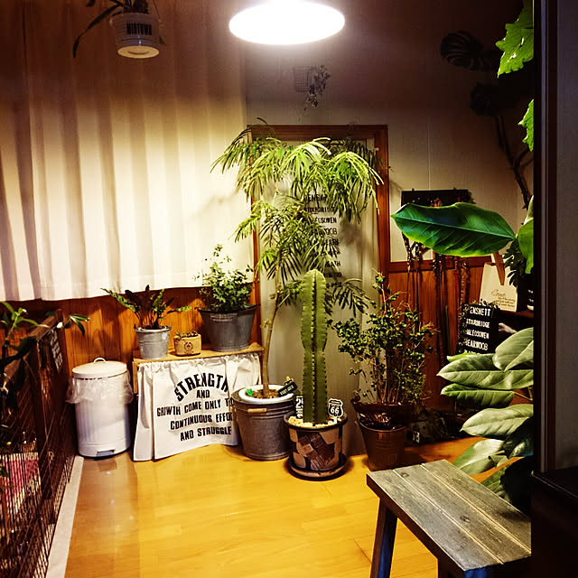 tikuwaさんの実例写真