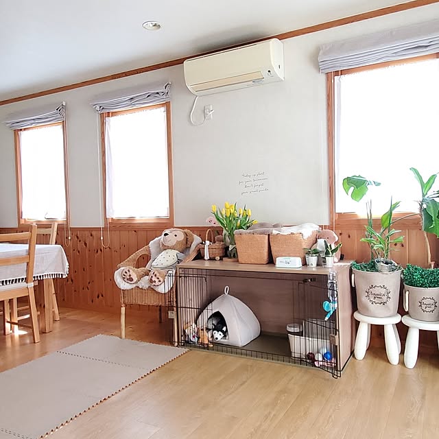 Blancheさんの実例写真