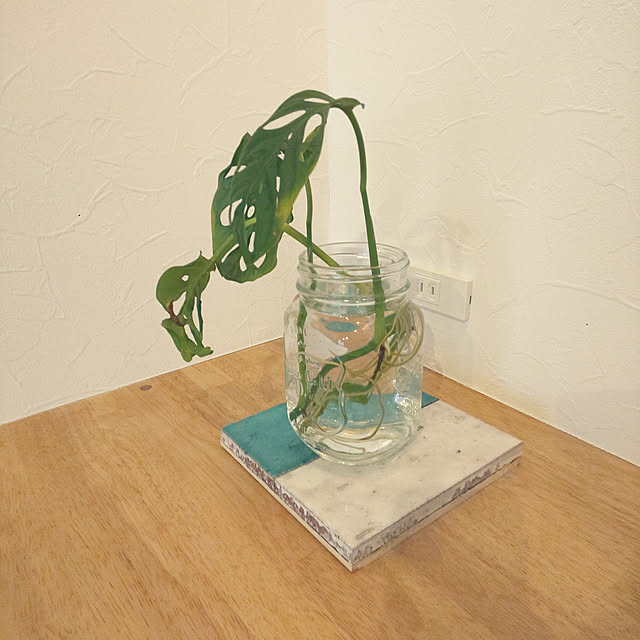 MIKESAKURAさんの実例写真