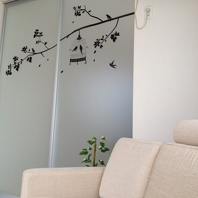 Tomoさんの実例写真