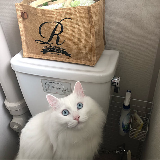kaori3mさんの実例写真