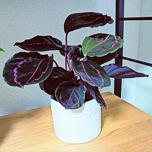 hanachanさんの部屋