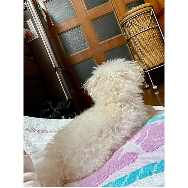 cotaさんの部屋