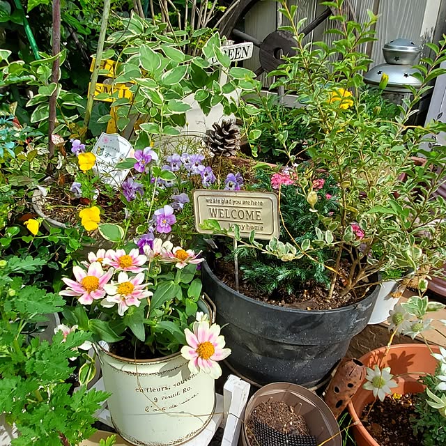 Blancheさんの実例写真