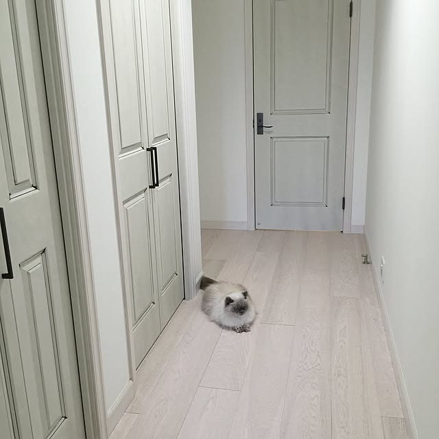 yuchiさんの実例写真