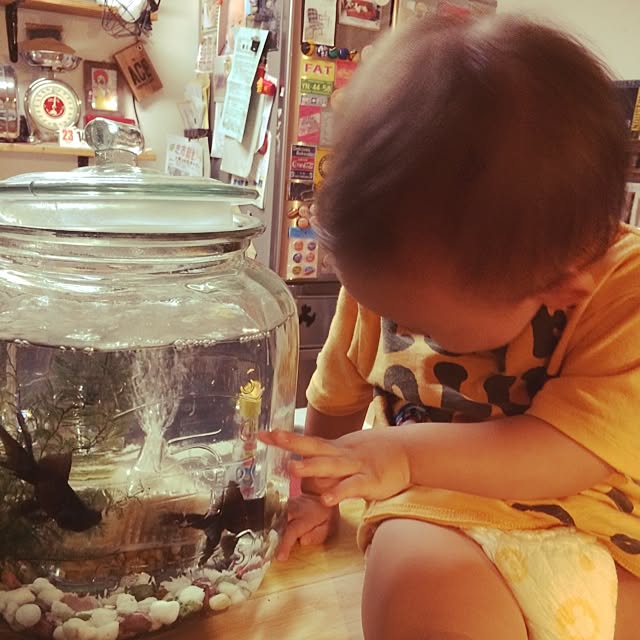 kanta88さんの実例写真