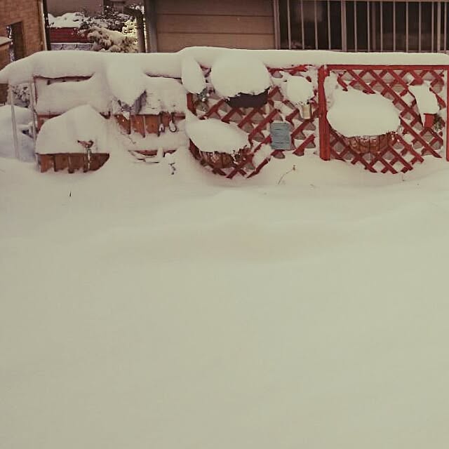 jacky-m-さんの実例写真